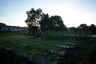 翡翠之庄関連施設、貸別荘ガゼボイメージ