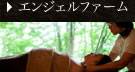翡翠之庄関連施設、エンジェルファーム